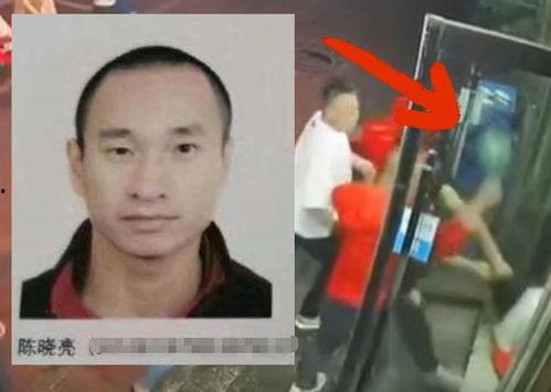 陈继志幕后爆料视频下载,事件真相与背后势力全解析